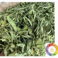 Dried Stevia Leaf
