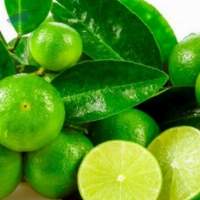 Fresh Lime