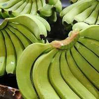 Fresh Cavendish Banana
