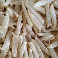 Fish Maw