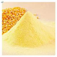 Corn Starch