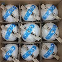 Push-Button Easy Open Coconut