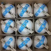 Push-Button Easy Open Coconut