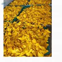 Dried Mango