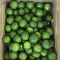 Fresh Green Lime