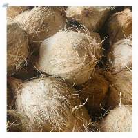 Semi Husk Coconut