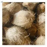 Semi Husk Coconut