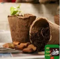 Coir Pot