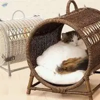 Rattan Pet House From Viet Nam