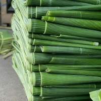 Premium Frozen Banana Leaf