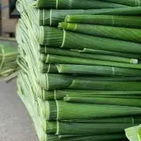 Premium Frozen Banana Leaf