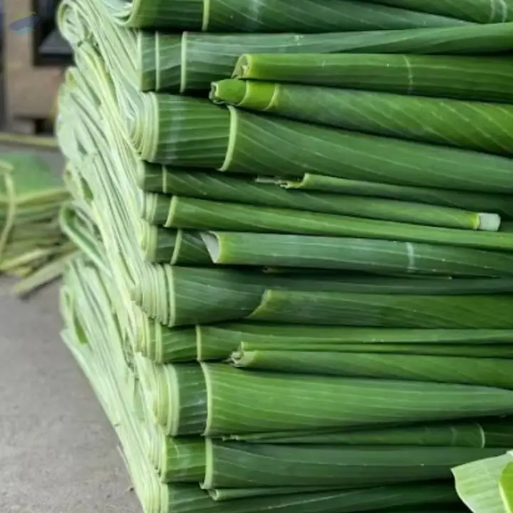 Premium Frozen Banana Leaf