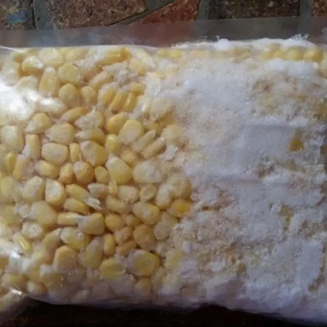 Frozen Corn
