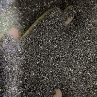Chia Seeds
