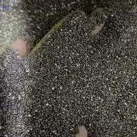 Chia Seeds