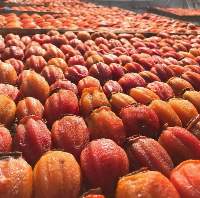 Dried Persimmon