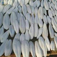 Dried Cuttlefish