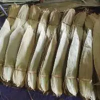 Bamboo Leaves