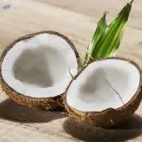 Premium Mature Coconut