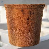 Coir Pot