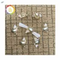 Sea Shell Napkin Ring