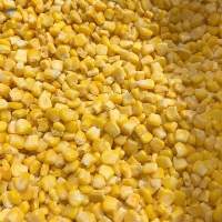 Frozen Corn