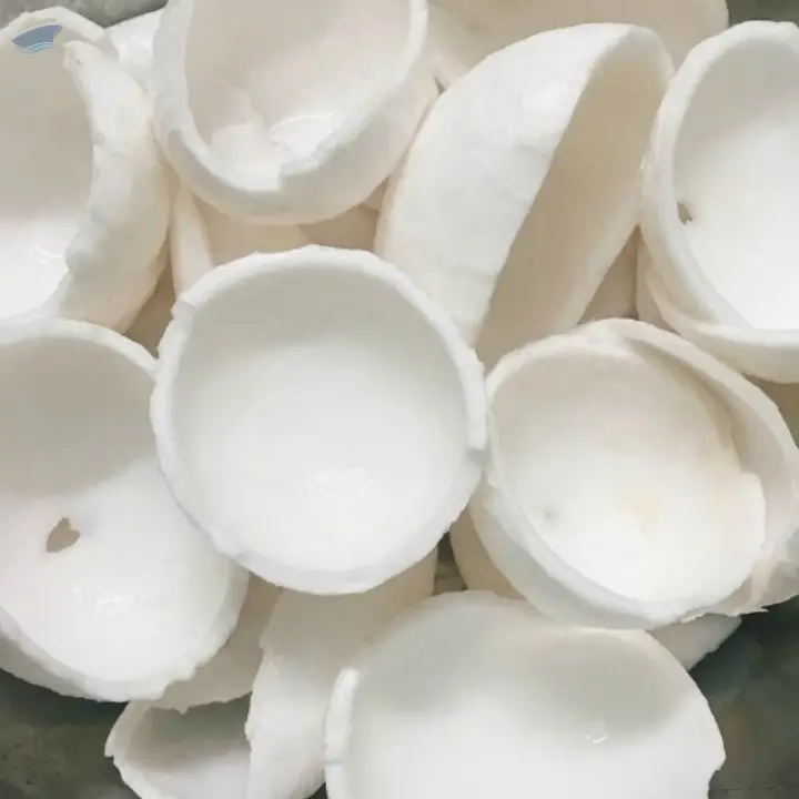 Frozen Coconut