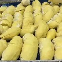 Frozen Durian