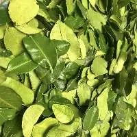 Dried Lime Leaf