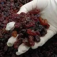 Vietnamese High Quality Raisin or Dried Grapes