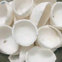 Premium Frozen Coconut Meat