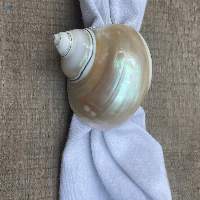 Sea Shell Napkin Ring Handmade