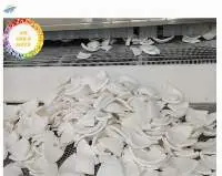 Frozen Coconut