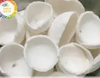 Frozen Coconut