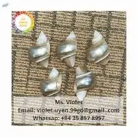 Seashell Napkin Ring