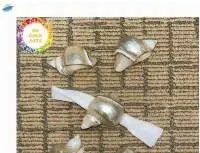 Seashell Napkin Ring