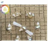 Seashell Napkin Ring