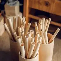 Bamboo Straws