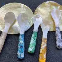 Vietnamese Handmade Mother Of Pearl Spoon
