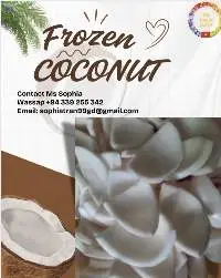 Frozen Coconut