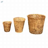 Coir Pot