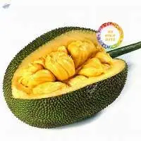 Fresh and Frozen Jackfruits