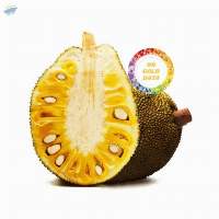 Jackfruit Chips