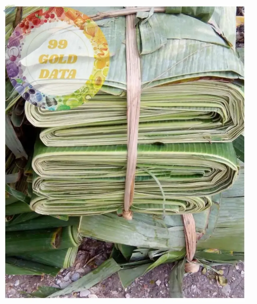 Banana Leaf