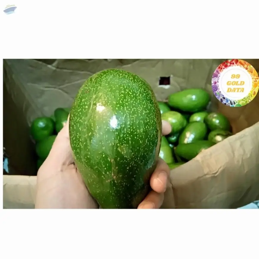 Fresh Avocado