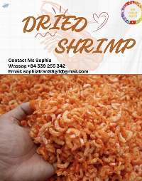 Dried Shrimp