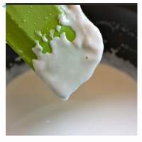 Frozen Coconut Milk