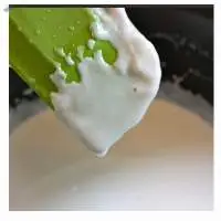 Frozen Coconut Milk