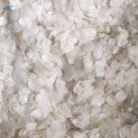 Dried Fish Scale