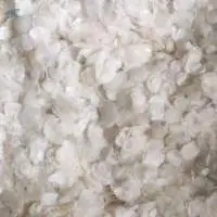 Dried Fish Scale